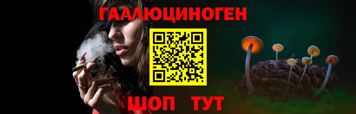 Псилоцибиновые грибы прущие грибы  Псилоцибиновые грибы Magic Shrooms  Можайск  Вход с VPN 